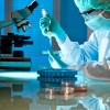 scientist working at the laboratory